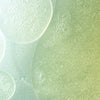 ANUA- HEARTLEAF QUERCETINOL PORE DEEP CLEANSING FOAM