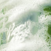 ANUA- HEARTLEAF QUERCETINOL PORE DEEP CLEANSING FOAM